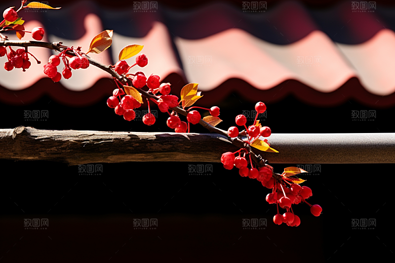 冬天腊梅花园林新中式摄影图