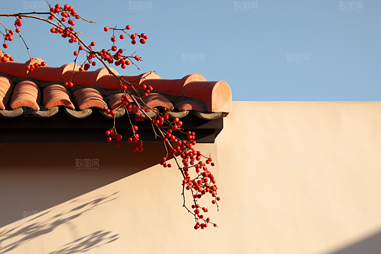 冬天腊梅花传统自然摄影图