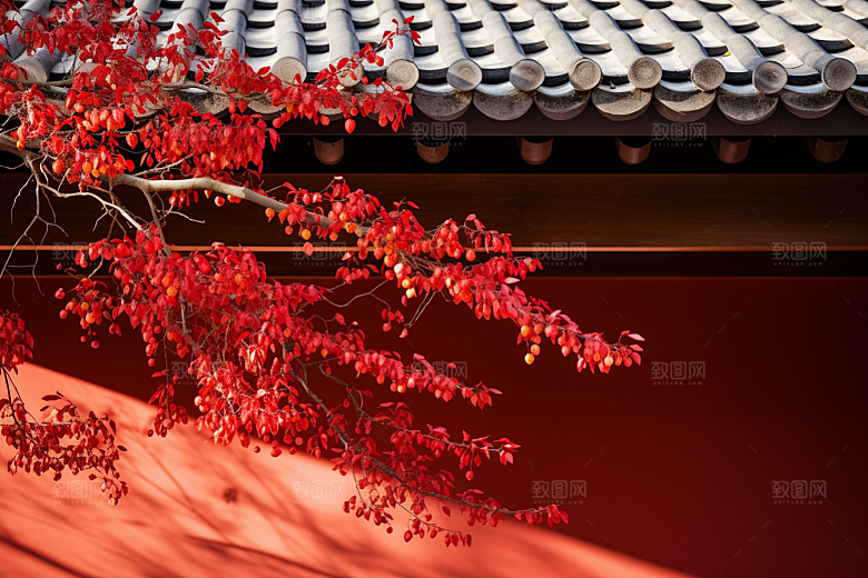 冬天腊梅花冬季传统摄影图