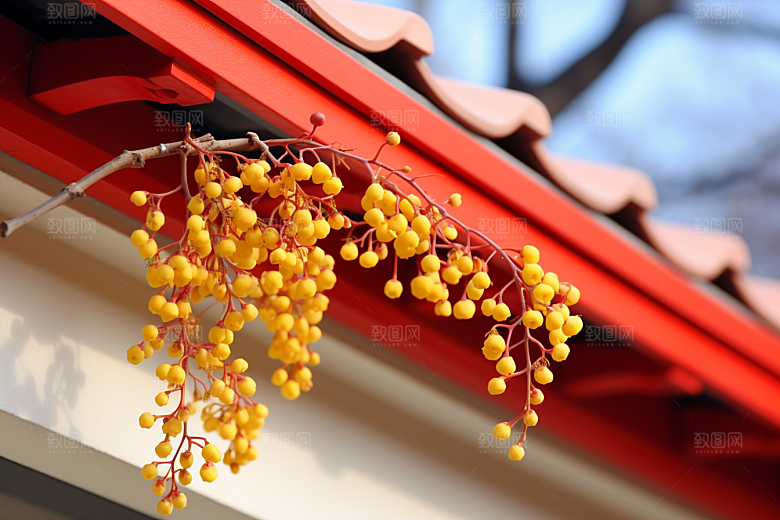 冬天腊梅花冬季传统摄影图