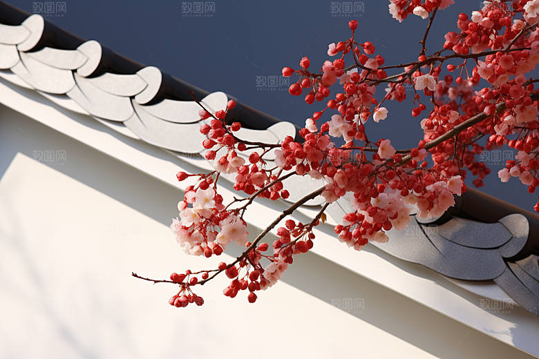 冬天腊梅花优雅自然摄影图
