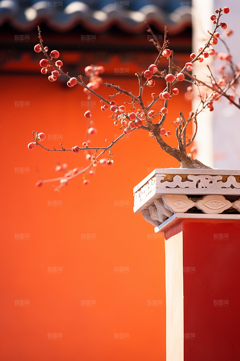 冬天腊梅花中国风芬芳摄影图