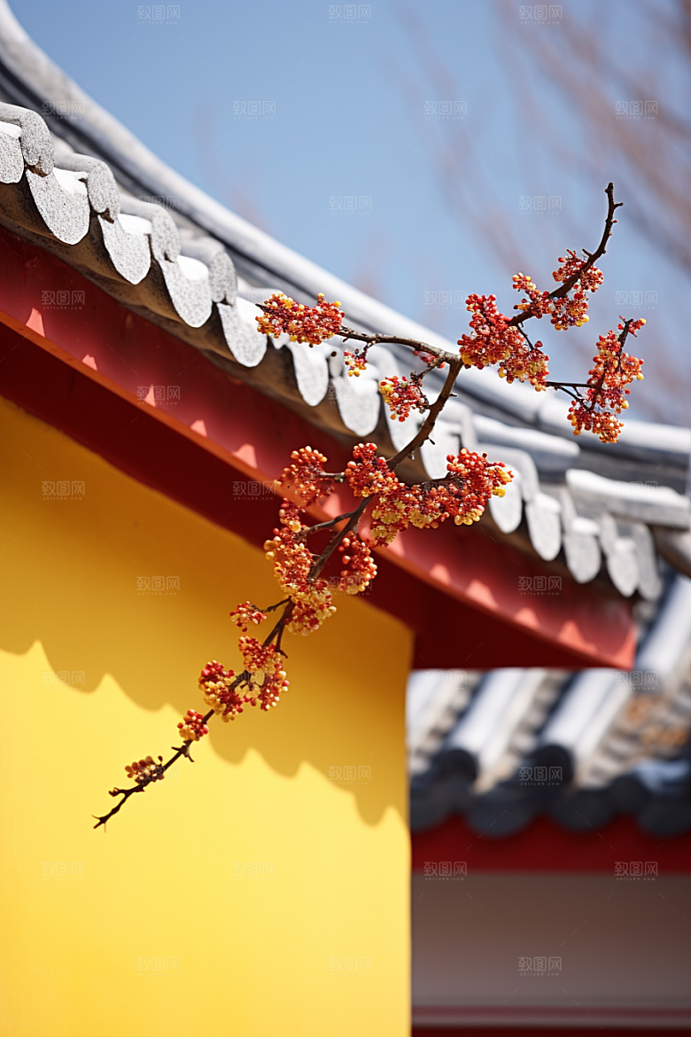 冬天腊梅花中国风寒冷摄影图