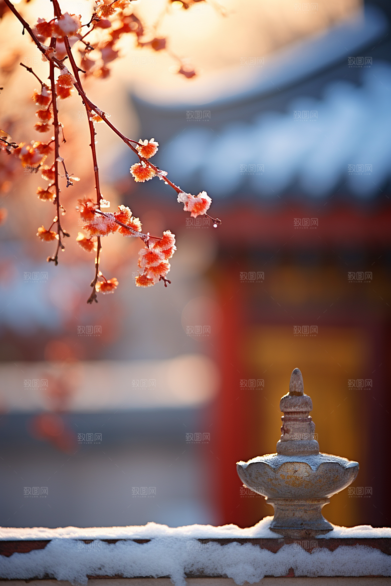 冬天腊梅花冬季高清摄影图