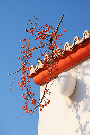 冬天腊梅花芬芳花卉摄影图