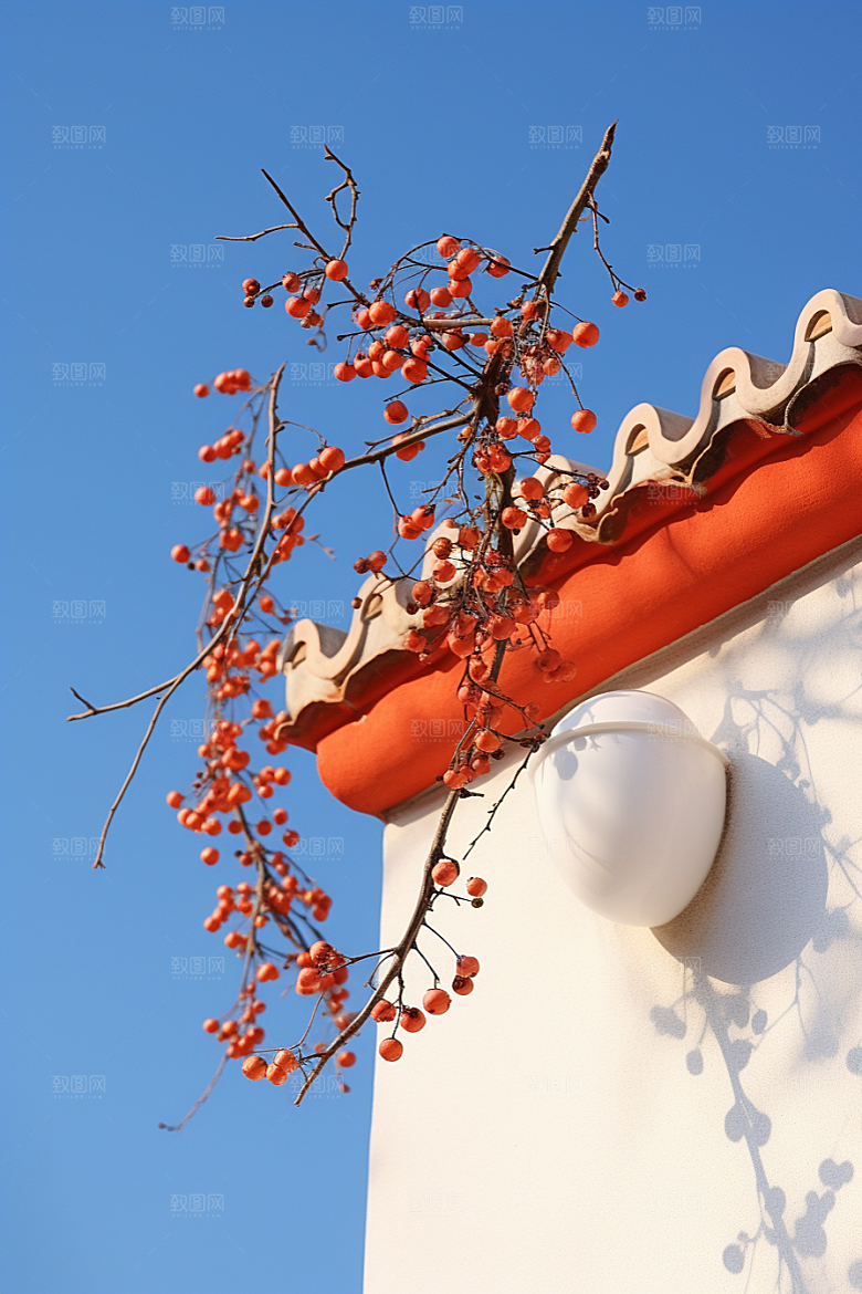 冬天腊梅花芬芳花卉摄影图