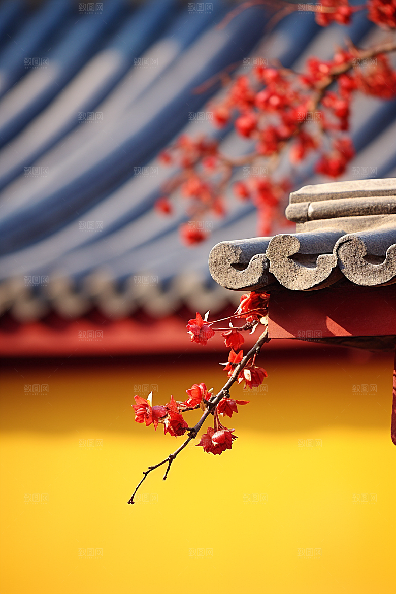 冬天腊梅花高清自然摄影图