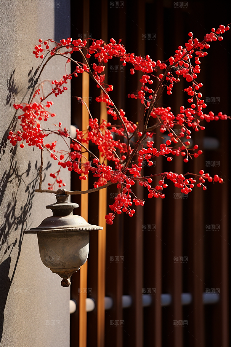 冬天腊梅花植物中国风摄影图