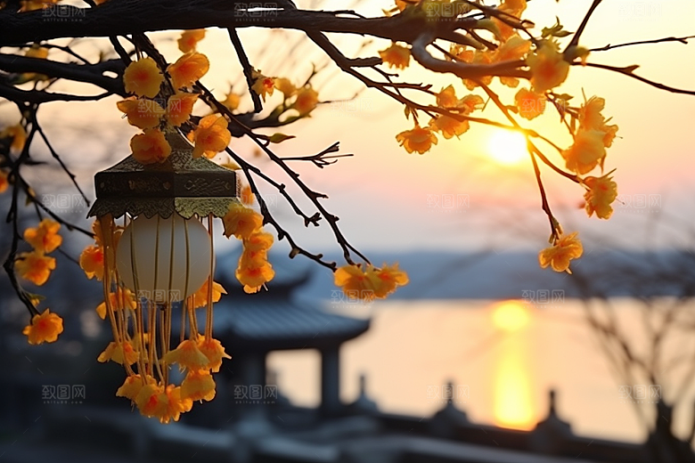 冬天腊梅花植物芬芳摄影图