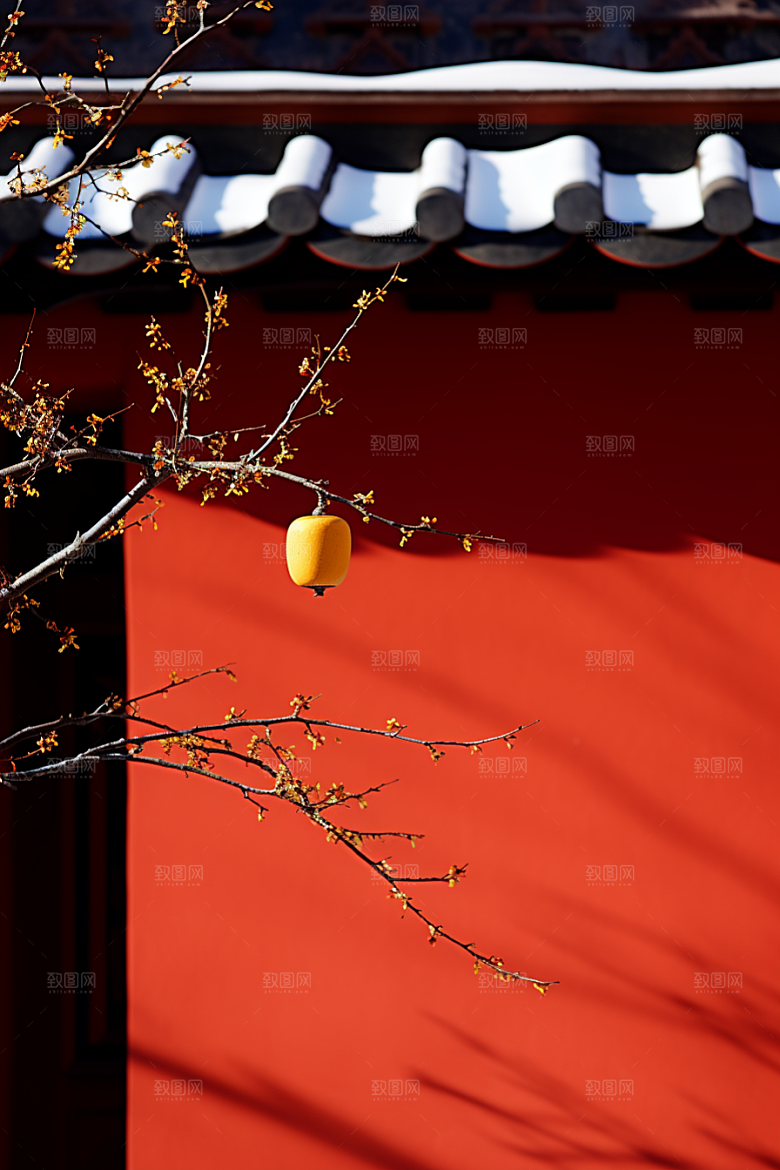 冬天腊梅花自然传统摄影图