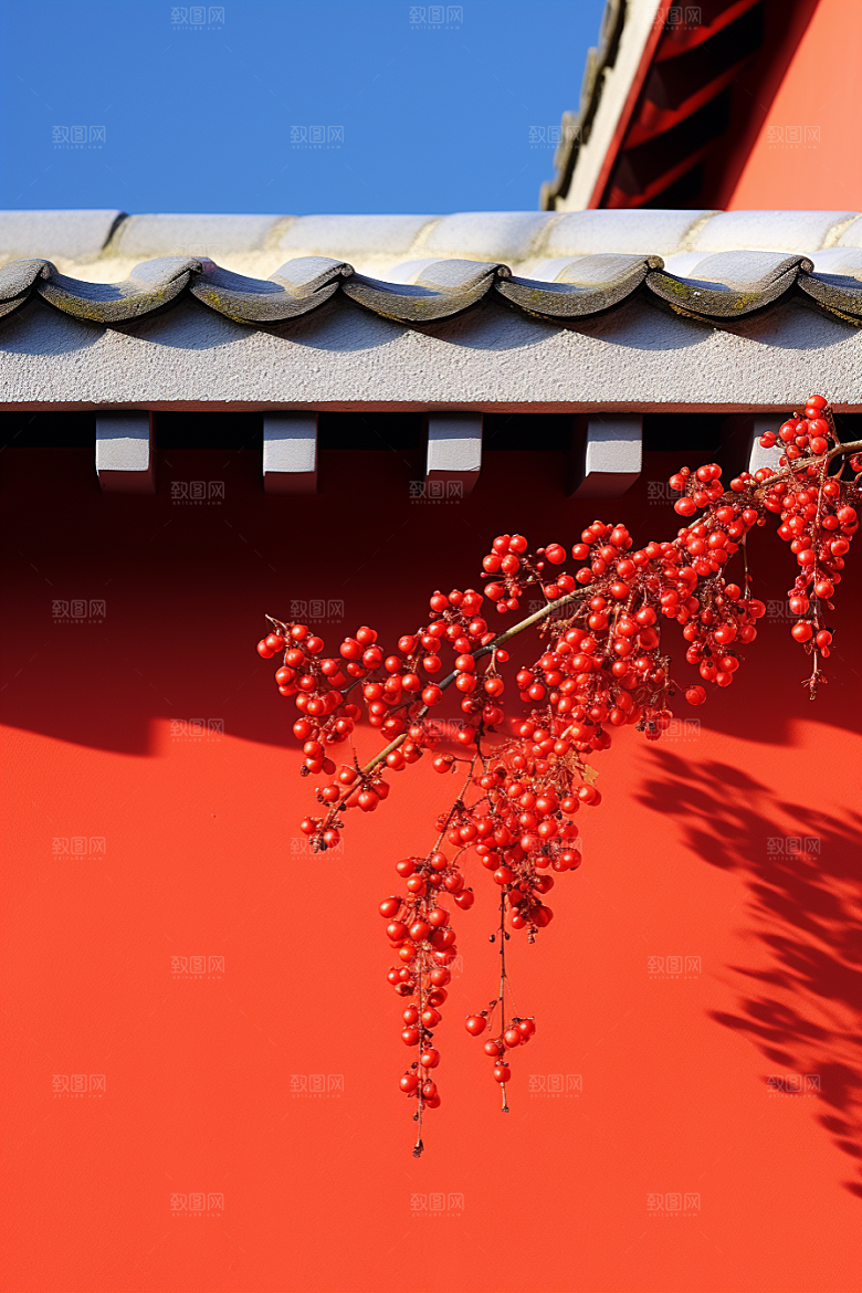 冬天腊梅花园林优雅摄影图