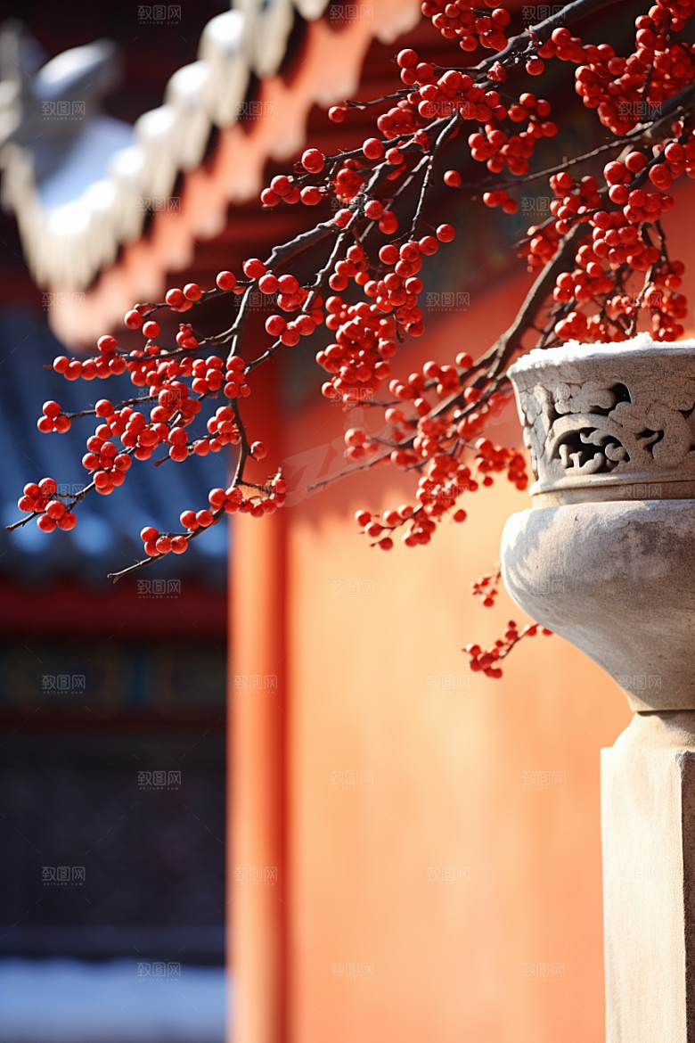 冬天腊梅花中国风植物摄影图