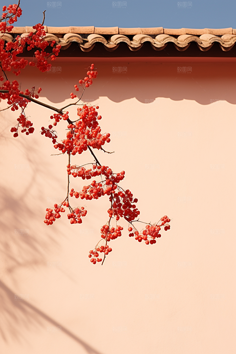 冬天腊梅花中国风花卉摄影图