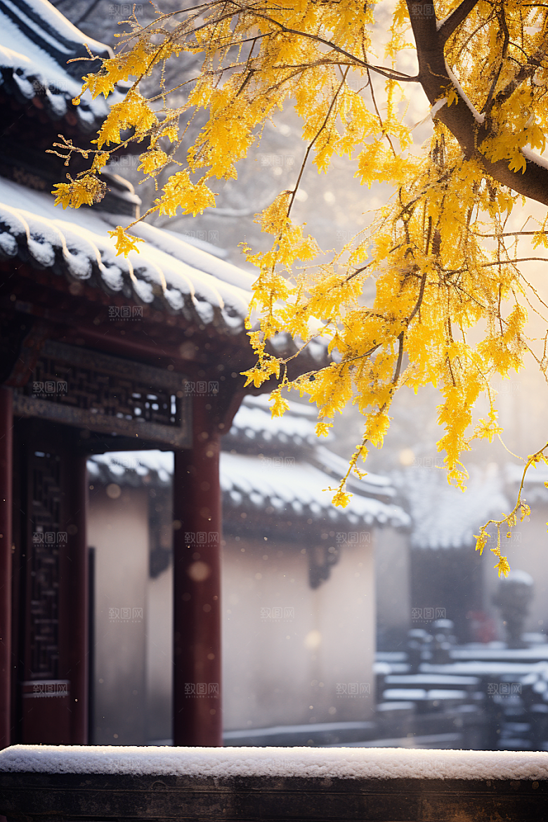 冬天腊梅花植物中国风摄影图