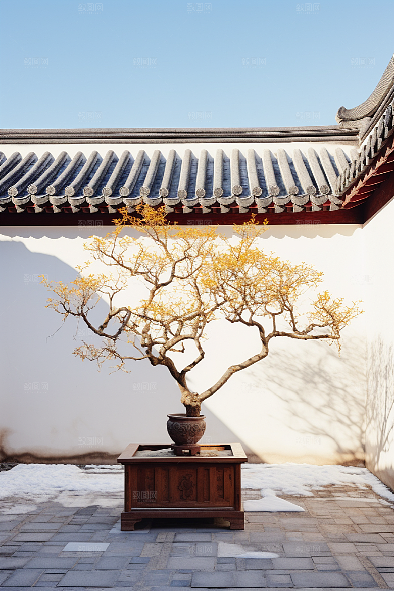 冬天腊梅花花卉冬季摄影图