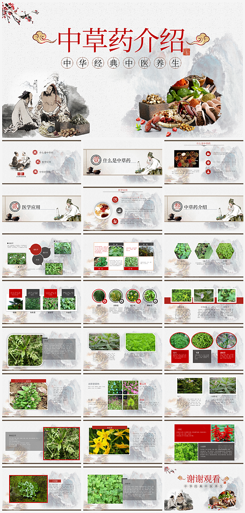 中国传统中医文化PPT模板