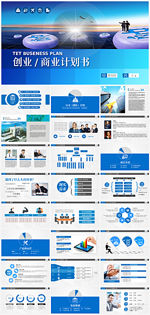 项目策划计划书PPT通用模板