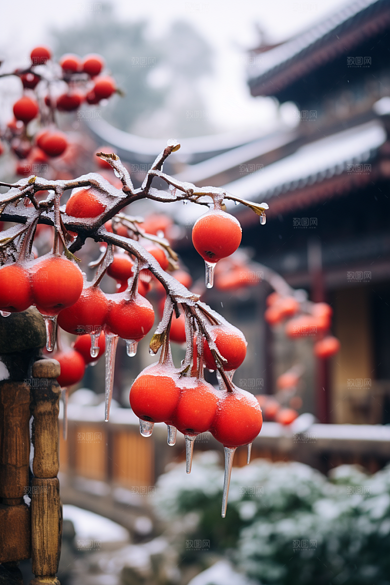 深秋元素降温下霜素材