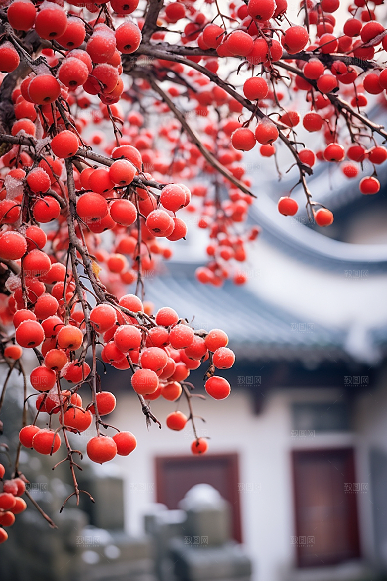 深秋元素高清秋季素材