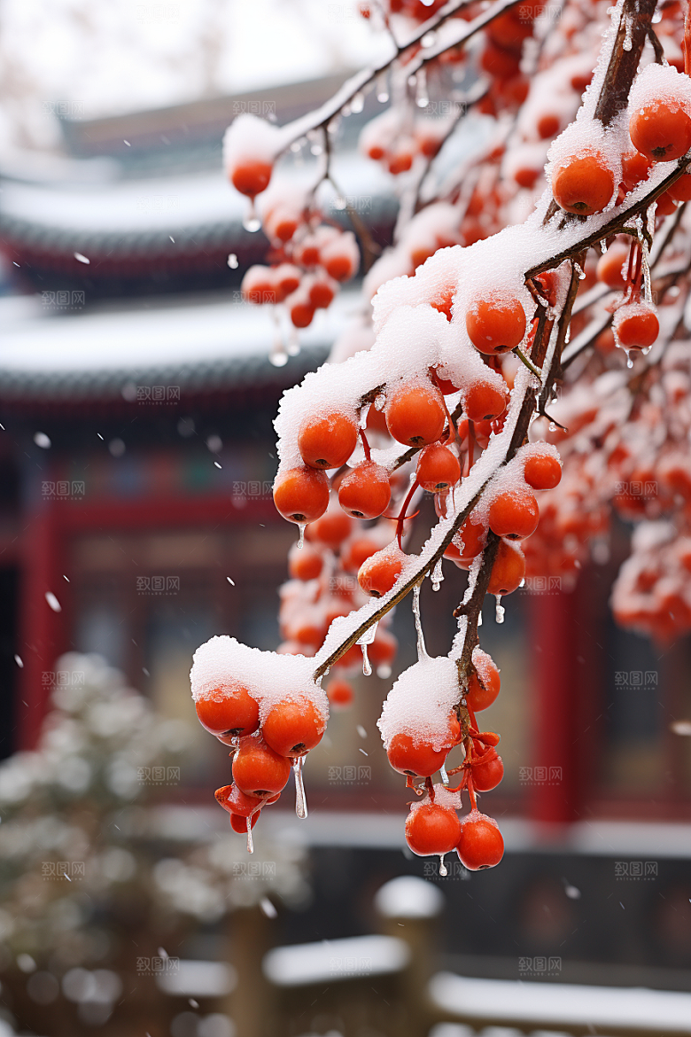 深秋元素秋天氛围素材