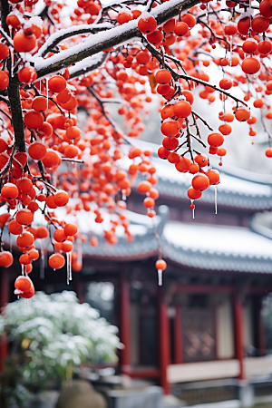 深秋元素氛围霜降素材