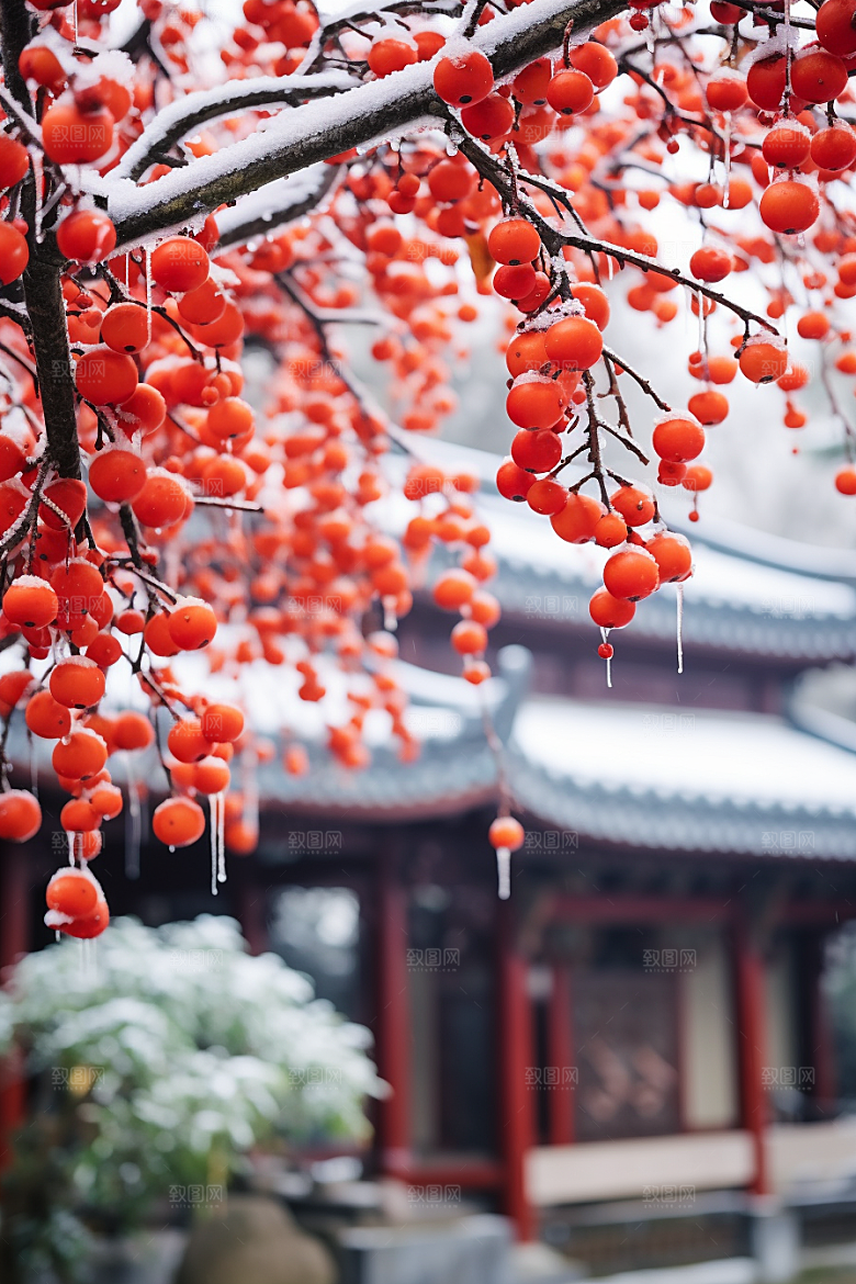 深秋元素氛围霜降素材