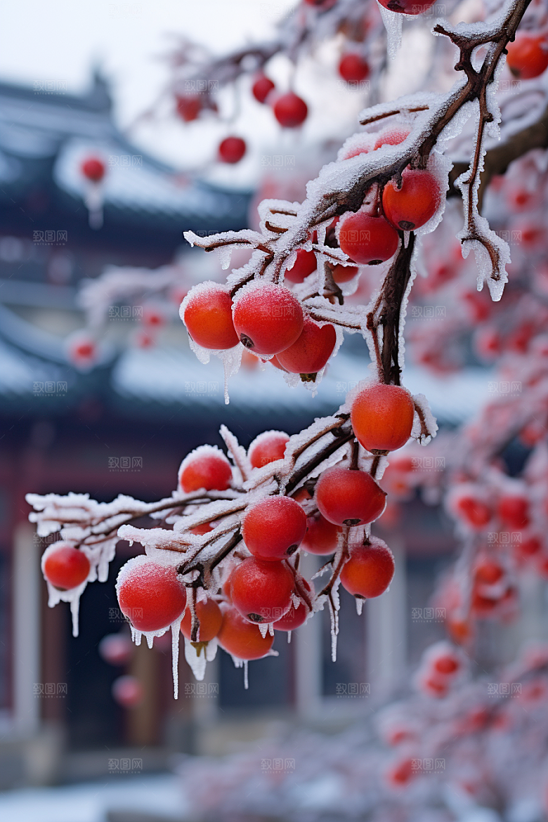 深秋元素氛围下霜素材