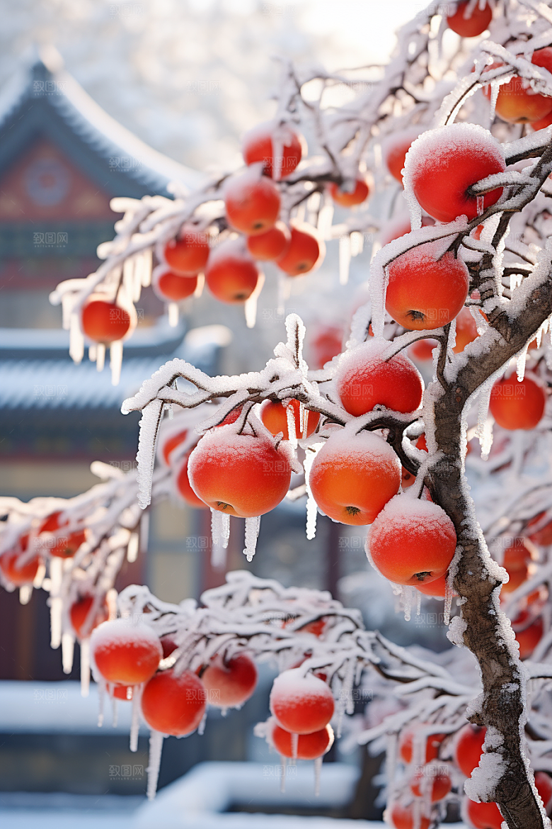 深秋元素氛围高清素材