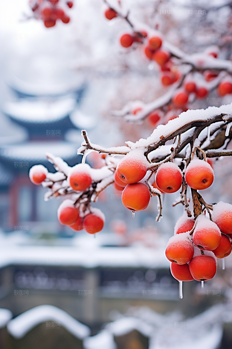 深秋元素氛围高清素材