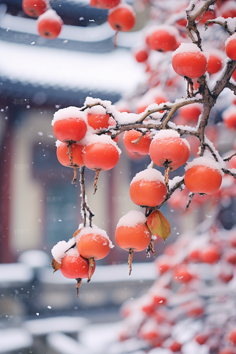 深秋元素高清霜降素材