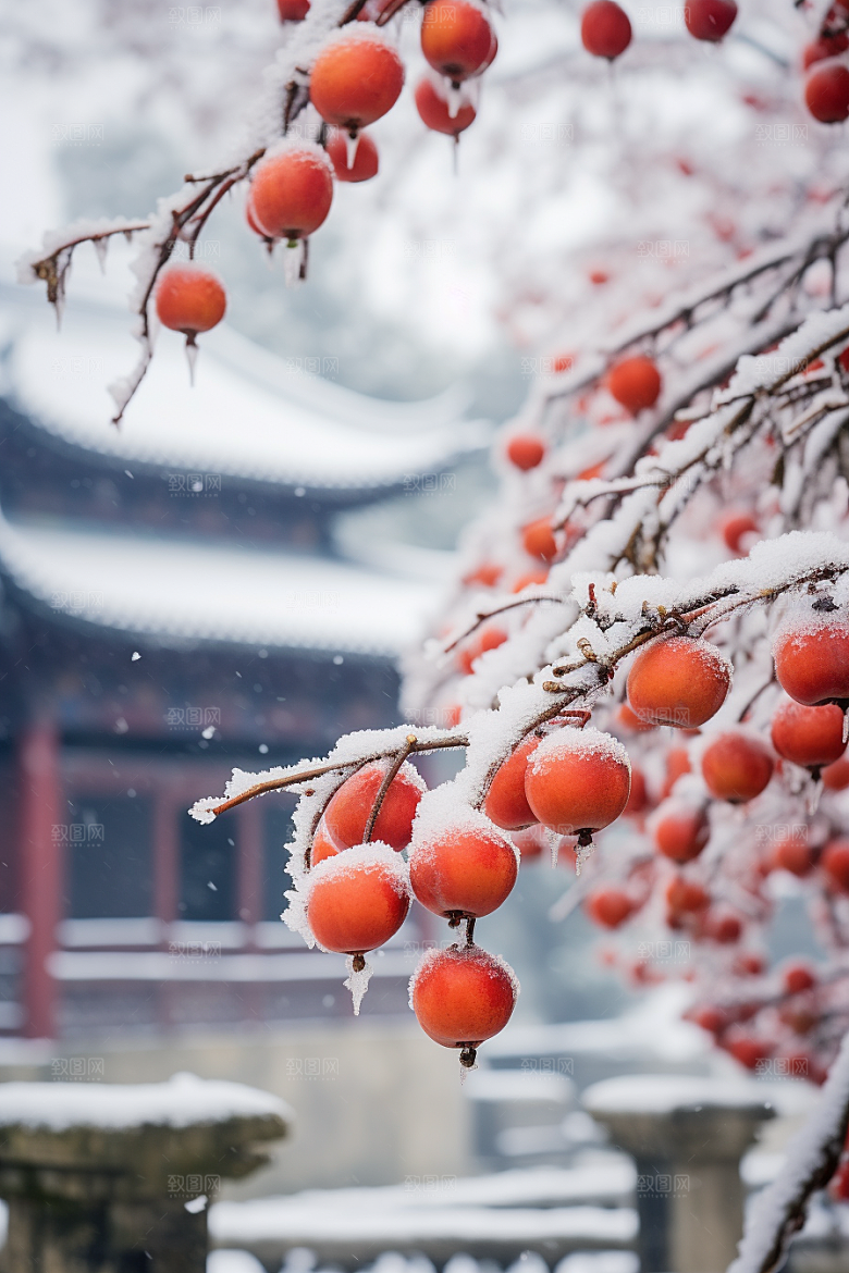深秋元素降温立秋素材