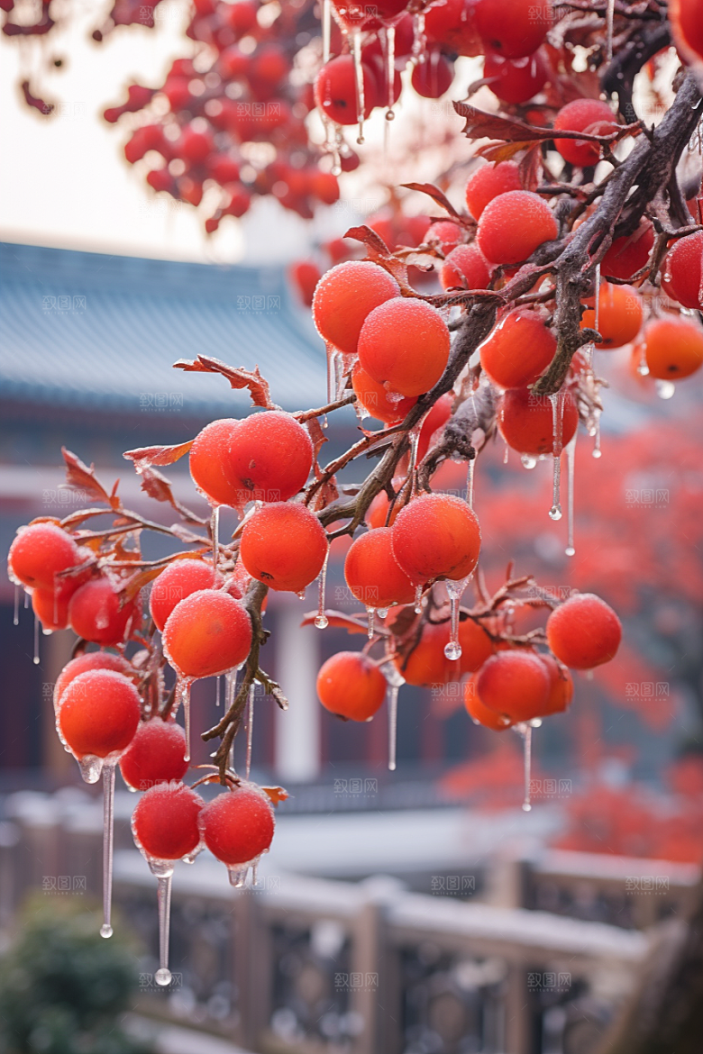 深秋元素高清降温素材