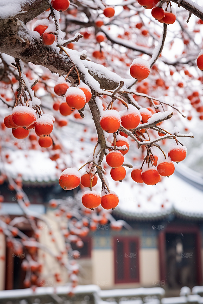 深秋元素高清寒冷素材
