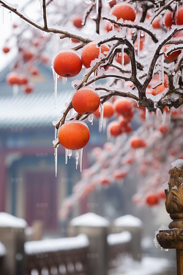 深秋元素氛围霜降素材