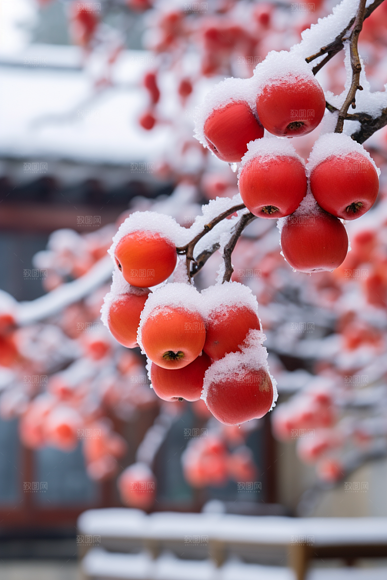深秋元素氛围降温素材