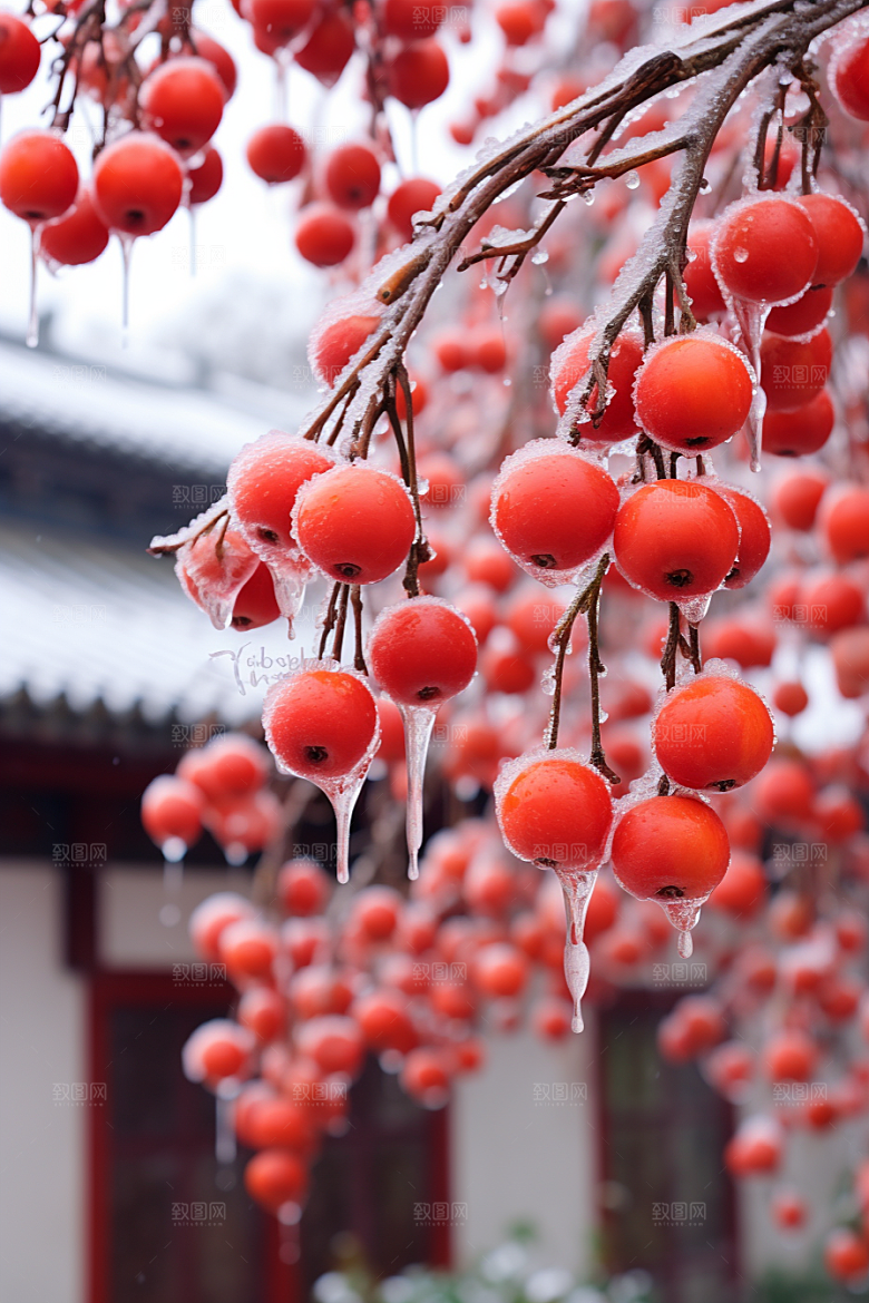 深秋元素氛围秋季素材