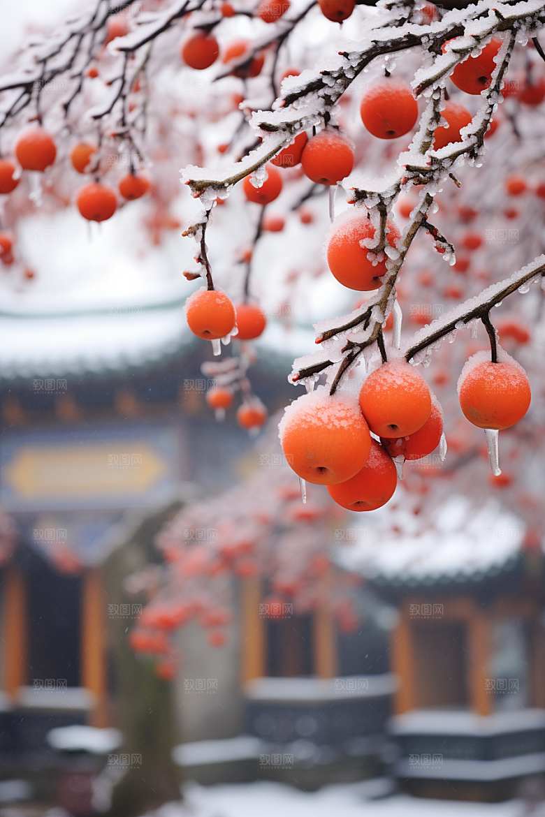 深秋元素寒冷霜降素材