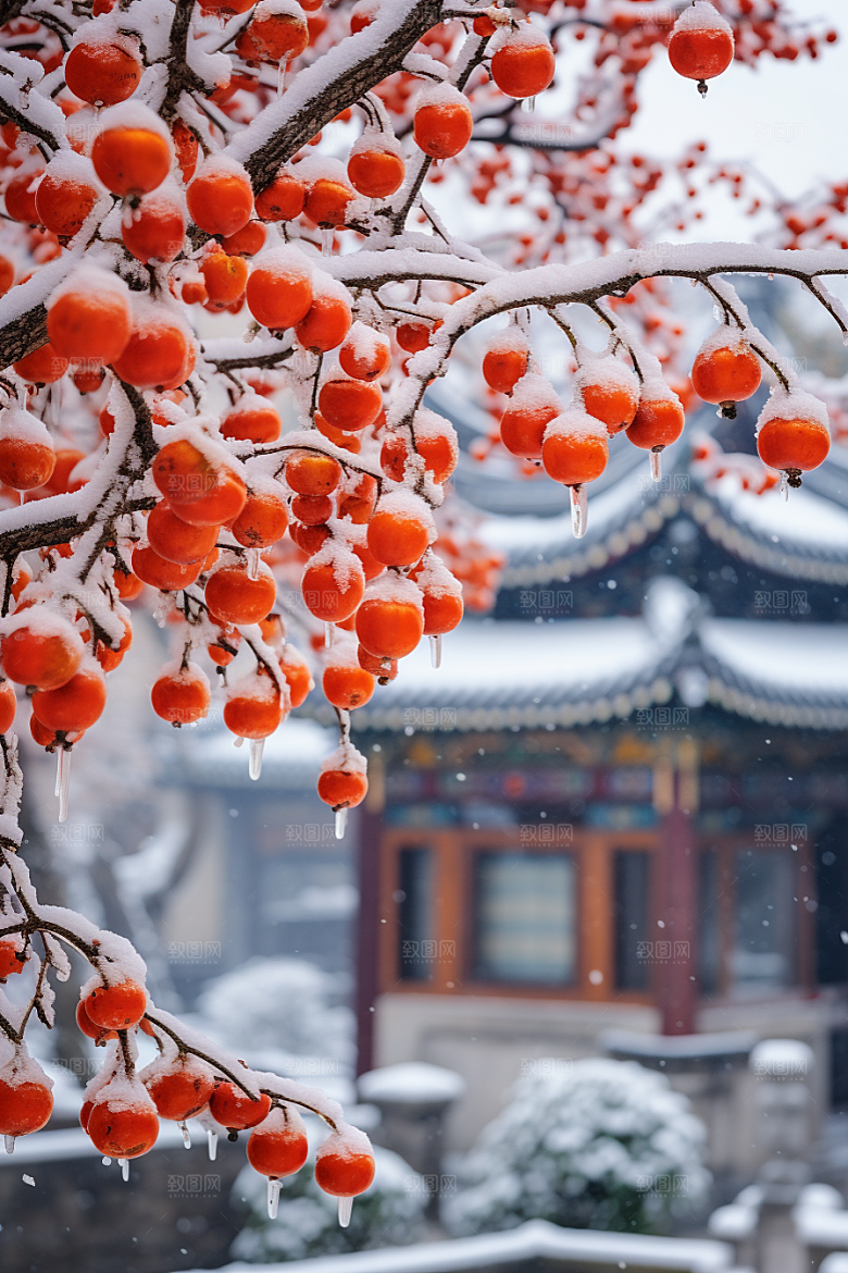 深秋元素高清霜降素材