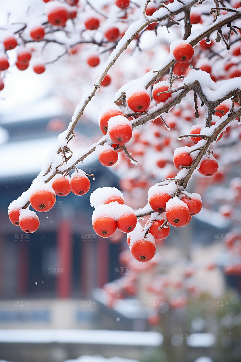 深秋元素氛围霜降素材