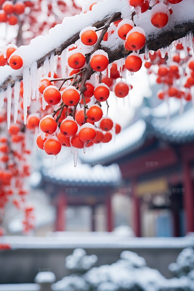 深秋元素寒冷高清素材