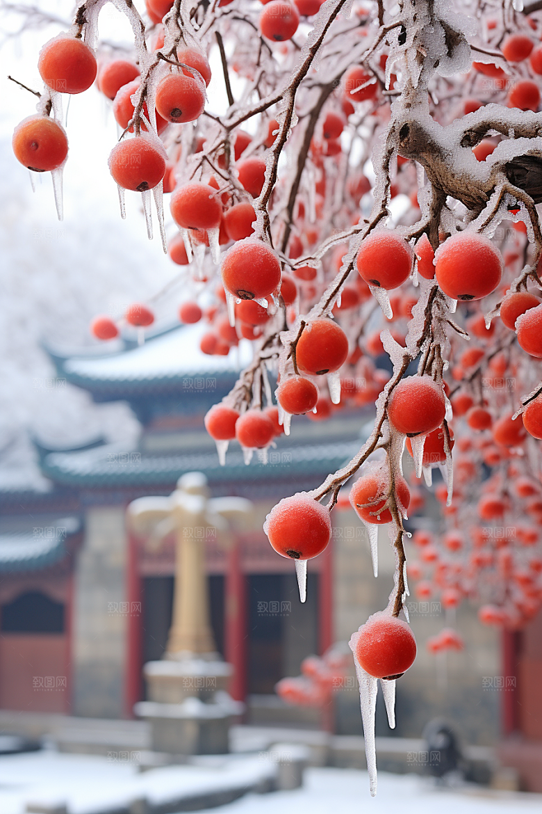 深秋元素秋天氛围素材