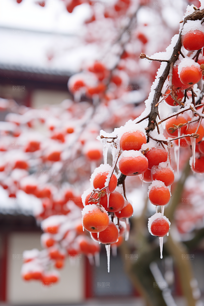 深秋元素氛围秋天素材
