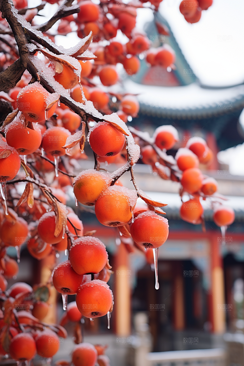 深秋元素寒冷秋天素材