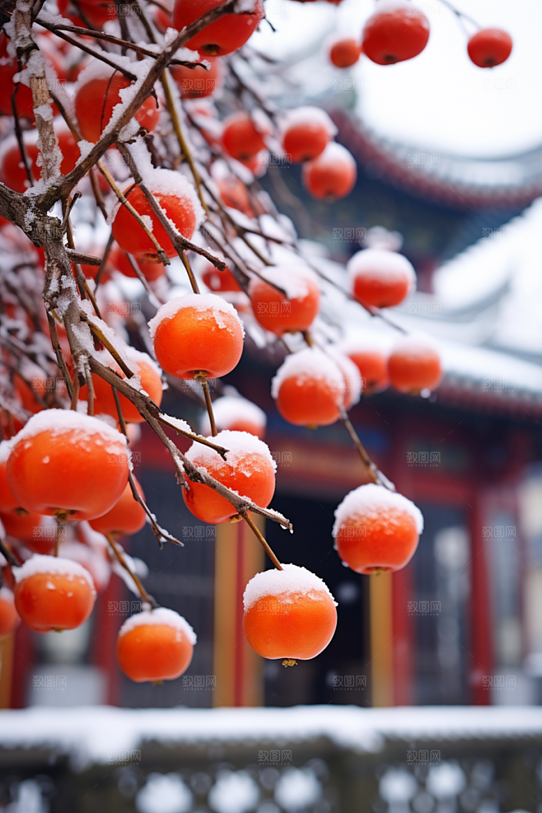 深秋元素立秋秋季素材