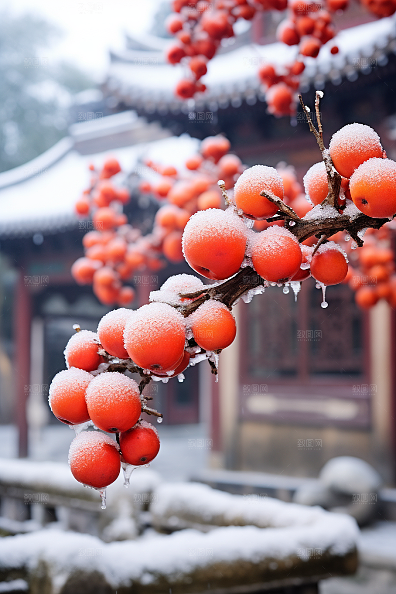深秋元素寒冷秋季素材