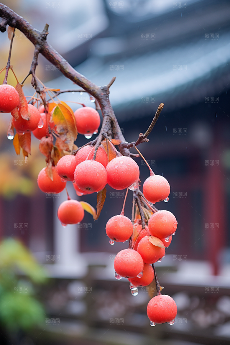 深秋元素立秋氛围素材