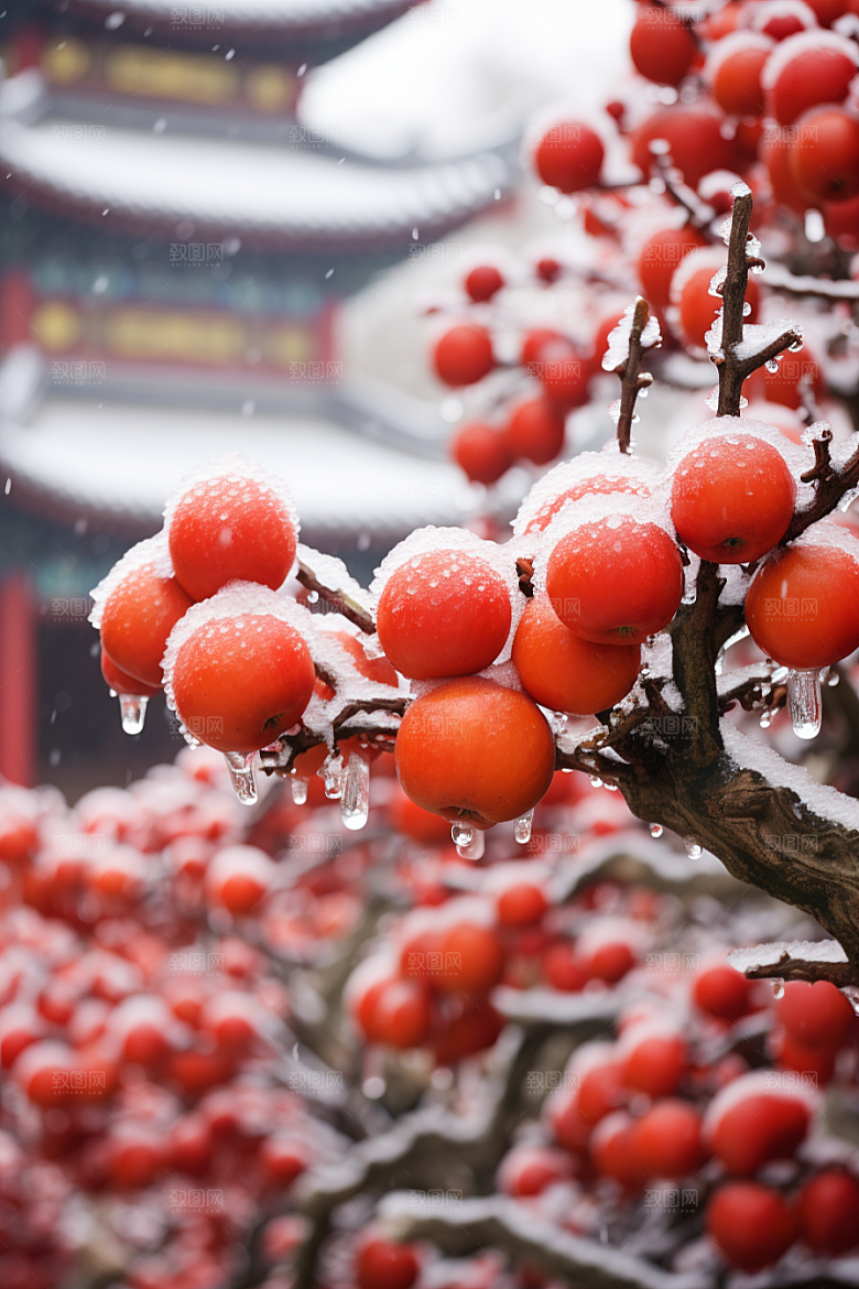 深秋元素氛围秋季素材