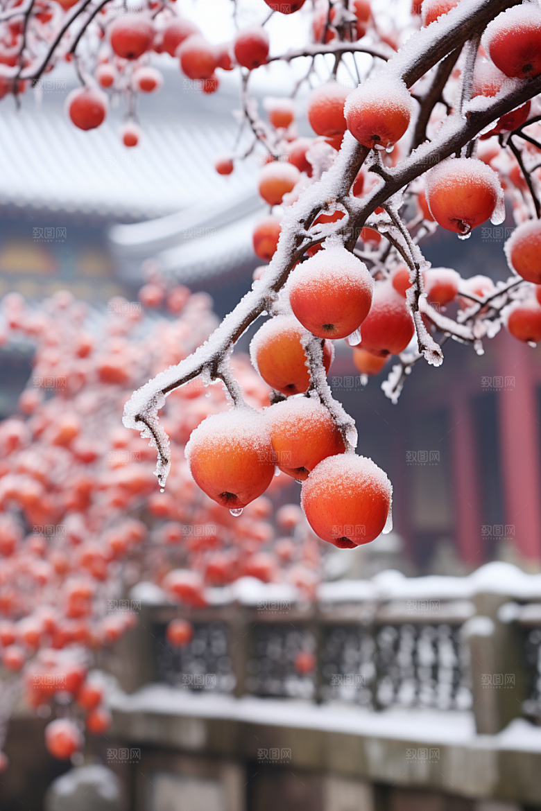 深秋元素寒冷降温素材