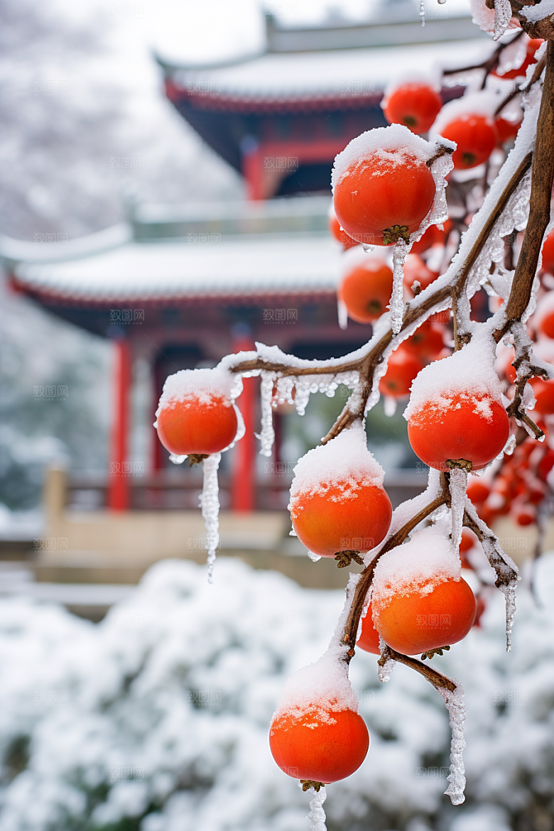 深秋元素寒冷立秋素材