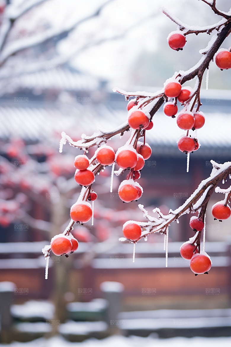 深秋元素霜降寒冷素材